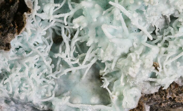 Sky-Blue, Botryoidal Aragonite Formation - China #63913